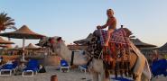 gal/2018/15 Egypt 2018/_thb_20180806_180637.jpg